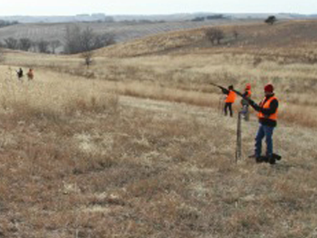 European Hunts - Pheasant Bonanza Hunt ClubPheasant Bonanza Hunt Club