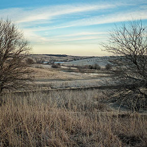 Pheasant Bonanza Grounds