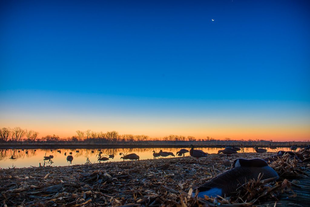 Sunrise at Pheasant Bonanza Waterfowl Hunt