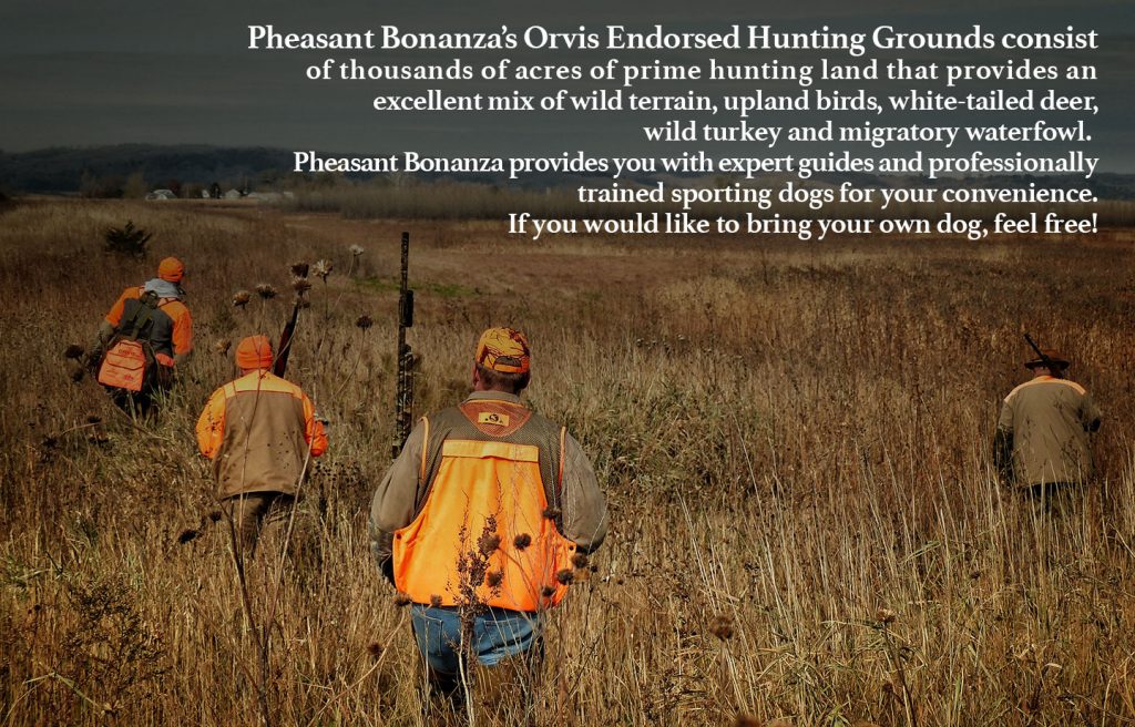 Nebraska Pheasant Hunting Premier Destination