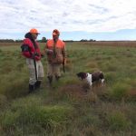 Pheasant Hunting Nebraska Tom Osborne