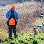 Nebraska Pheasant Hunting