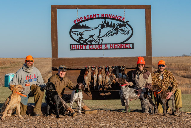 Nebraska Pheasant Hunting