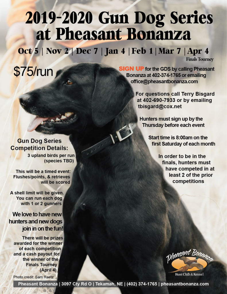 Gun Dog Series Competition