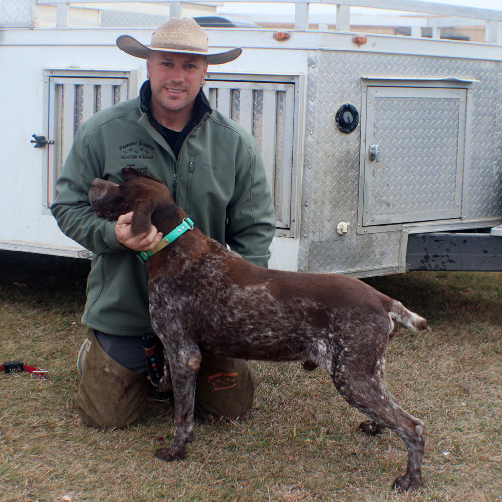 Duke, GSP royalty at Pheasant Bonanza